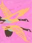 Skydivers with open wings - Acryl op doek (linnen) 1